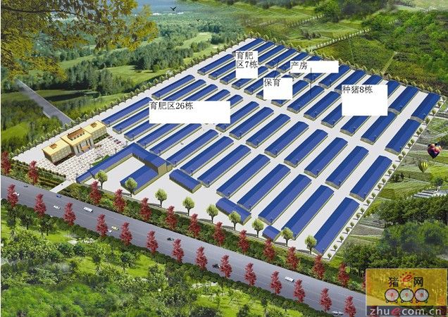 2B(yng)iO(sh)ӋD:СB(yng)iO(sh)ӋD